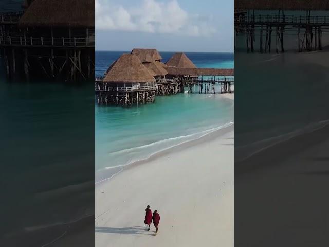 Шикарный отдых на Занзибаре в Hotel Riu Jambo Zanzibar