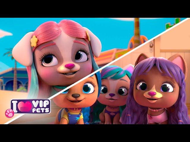  DEFINITIVE LOOKS  COLLECTION  VIP PETS   HAIRSTYLES ‍️ Full Episodes For KIDS in ENGLISH