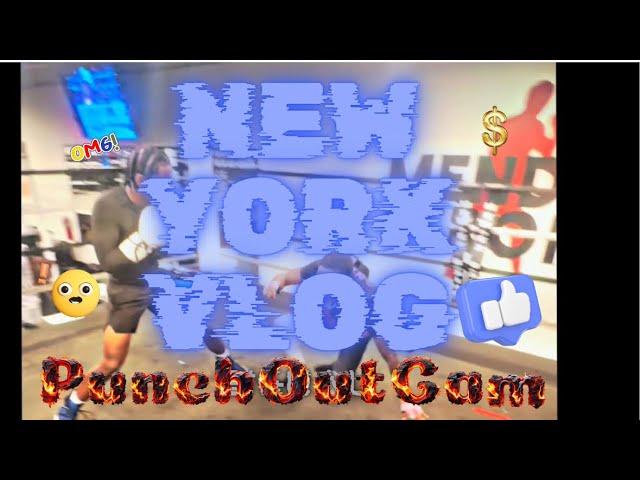 NEW YORK VLOG! THE SILENCER EDITION Ep.1