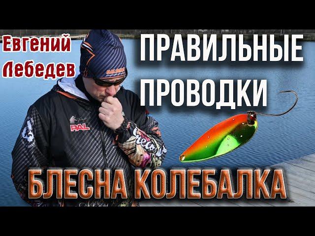 Блесна колебалка, правильные проводки. Ответы на вопросы подписчиков Е. Лебедева.