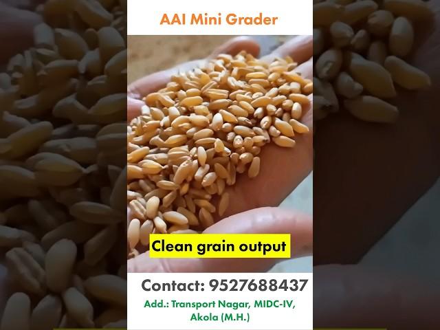 "Mini Seed Grader Machine" Wheat cleaning machine, multi grains grading