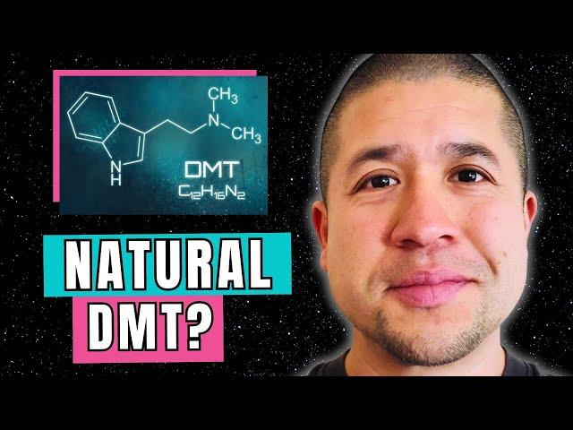 Do We Make Our Own DMT? (John Chavez)