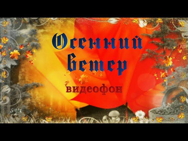 Осень Осенний Ветер  Натуральные футажи для видеомонтажа