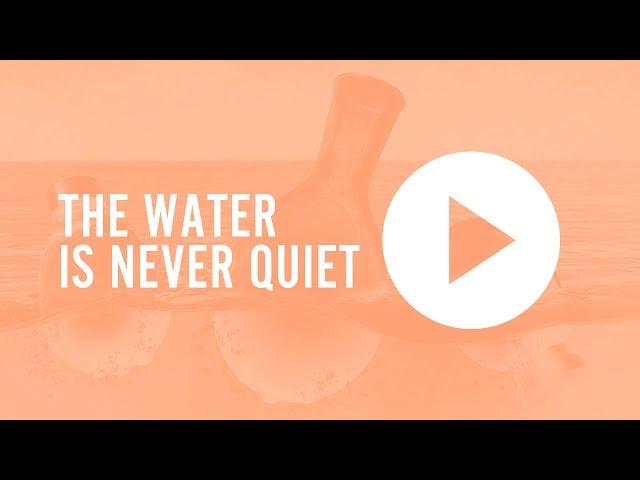 Vitbot - The water is never quiet