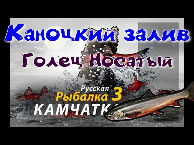 Кроноцкий залив/Голец носатый/Квест гольцы/РР3 [ Русская рыбалка 3]