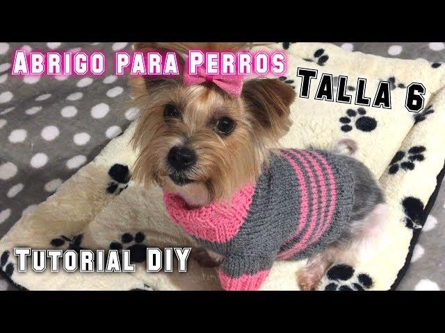 How To Make A Dog Sweater? (Size 6) DIY Knitting Tutorial