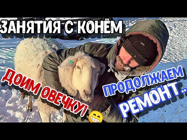 Болеем всей семьёй! Семён загулял.. ️ Начали ремонт в зале Овечье молоко первый раз в жизни