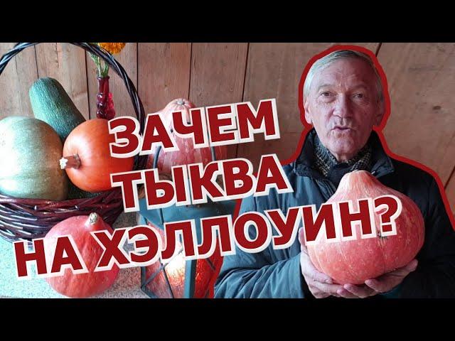 ЗАЧЕМ НУЖНА ТЫКВА НА ХЭЛЛОУИН?