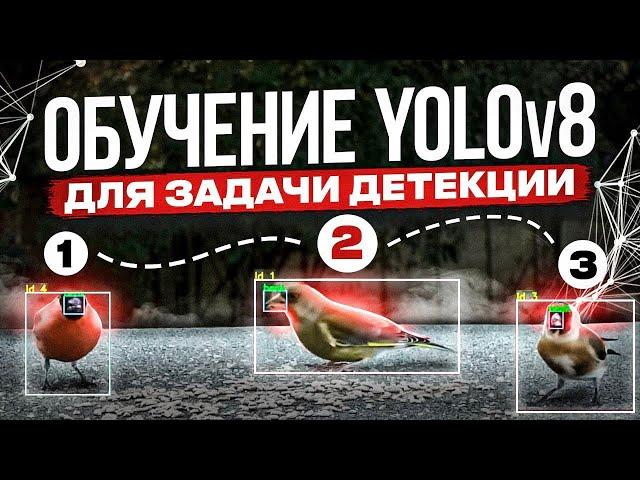 Обучение YOLOv8 для задачи детекции