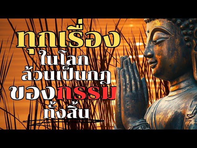 ทุกเรื่องในโลก ล้วนเป็นกฎของกรรมทั้งสิ้น | ฟังธรรมะก่อนนอน