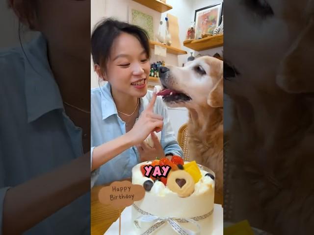 Benji Made the Best Cake for Mom! 