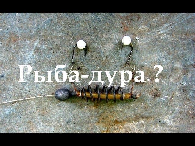 Почему рыба дура клюет на пенопласт