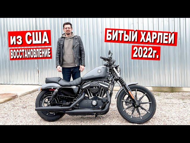 Купил БИТЫЙ ХАРЛЕЙ 2022г из США / ВОССТАНОВЛЕНИЕ / ЦЕНА РЕМОНТА