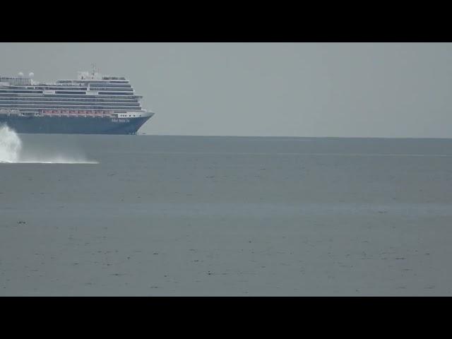 Humpback Breach while recording a Cruise Ship 062924