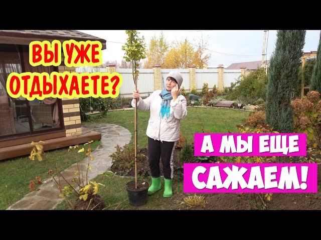 ТЕЛЕГУ - в компост. ВЯЗ - за дом. Вы уже отдыхаете? А мы ещё сажаем!