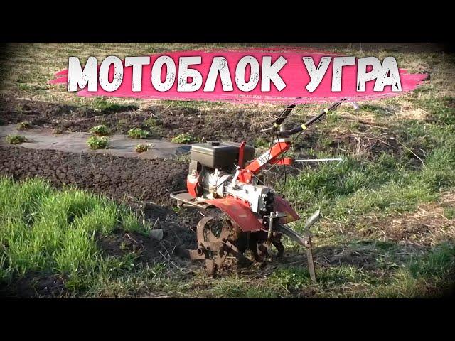 Что такое МОТОБЛОК УГРА? Детальный разбор от Gardenstock, комплектация, работа по целине!