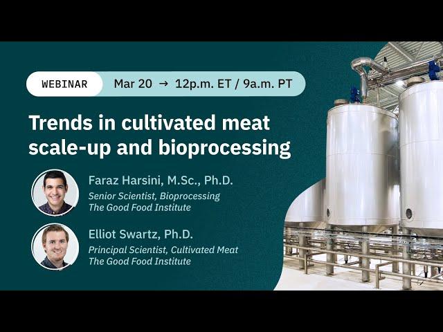 Trends in cultivated meat scale-up and bioprocessing