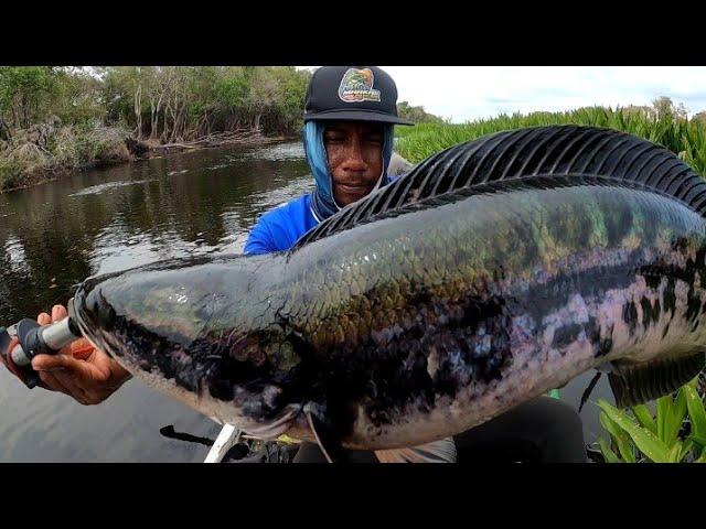 SUNGAI PEDALAMAN RIAU GUDANG NYA IKAN TOMAN DAN GABUS.!! MANCING CESTING TOMAN