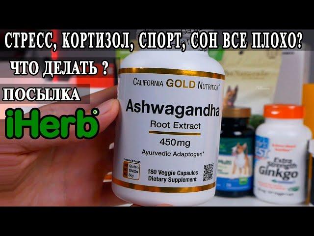 Адаптогены, Гинкго Билоба, Валериана, Ашвагандха, Эхинацея, Витамины и пробиотики для собак.