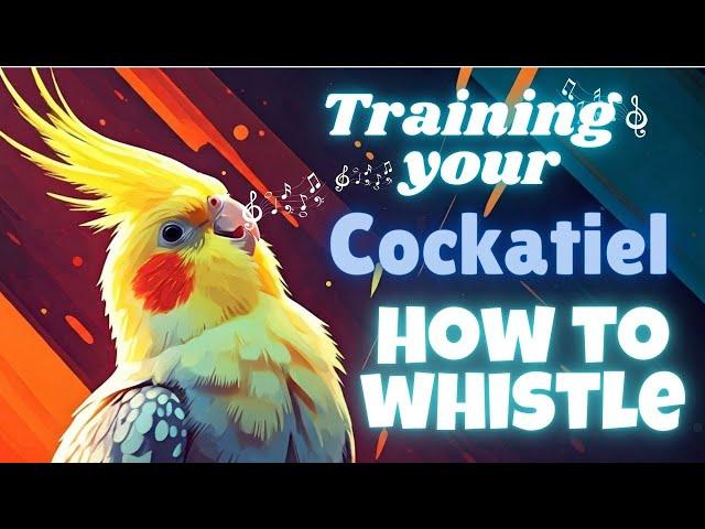 "Tune Your Tiel: Master the Art of Teaching Your Cockatiel to Whistle – Live Training Session!"