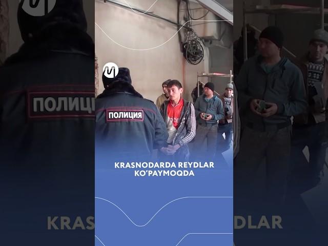 Krasnodarda reydlar ko'paymoqda