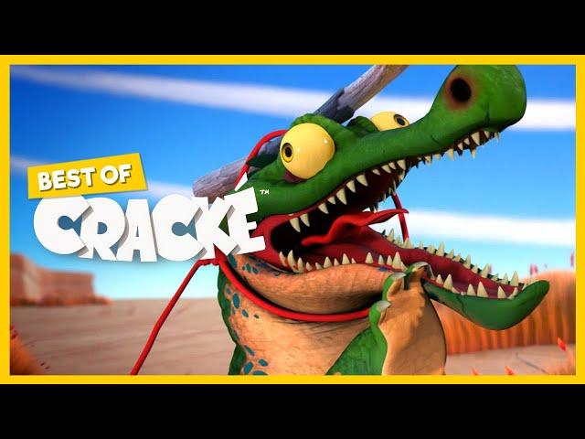 CRACKÉ - HUNGRY CROCODILE | Cartoon Animation | Compilation