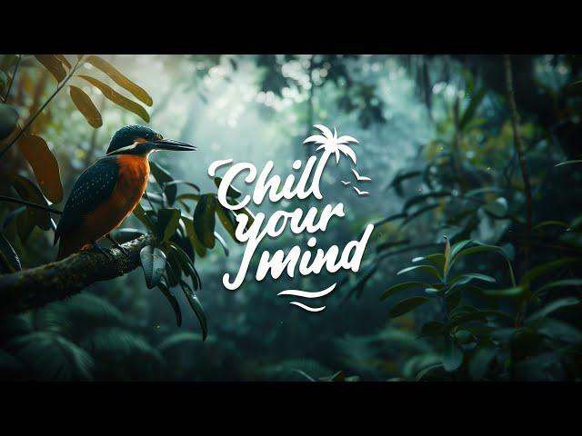 Chill Music Mix 2024 - Deep House & Tropical House - Calm & Relaxing Background Music