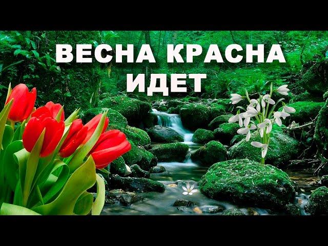 ВЕСНА КРАСНА ИДЕТ