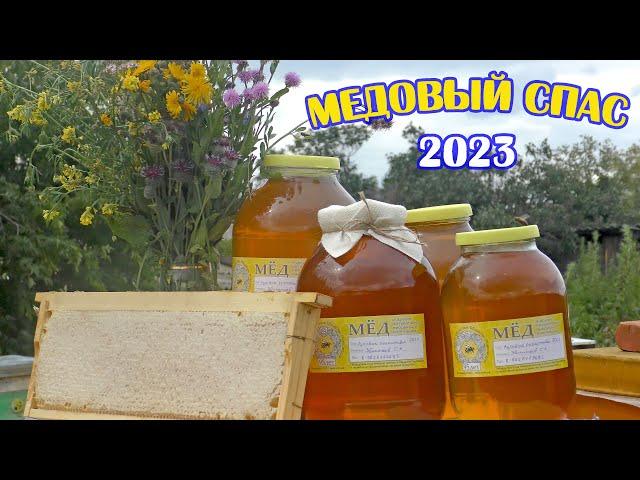 Медовый СПАС 2023. Итоги сезона. Накачал много мёда.