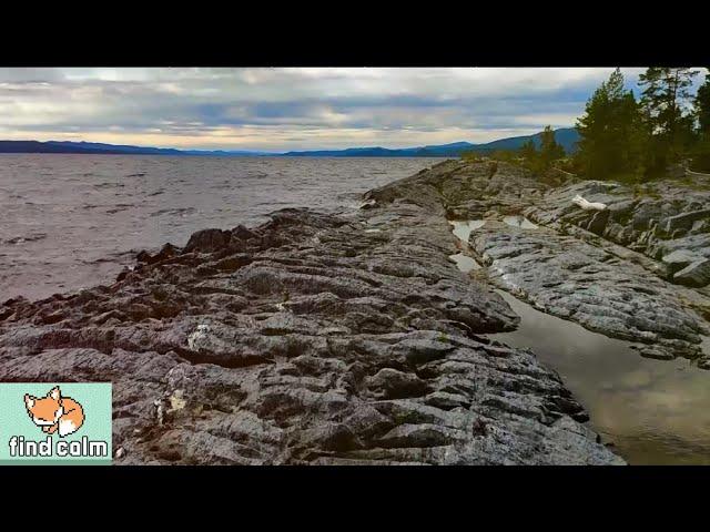 NORWAY (Unintentional) ASMR #1  Peaceful Lakeside Walk through Beautiful Windy Forest