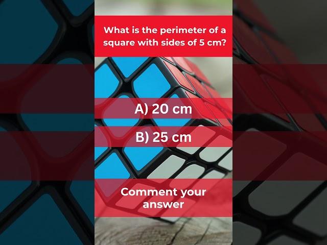 What's the Perimeter? #shorts