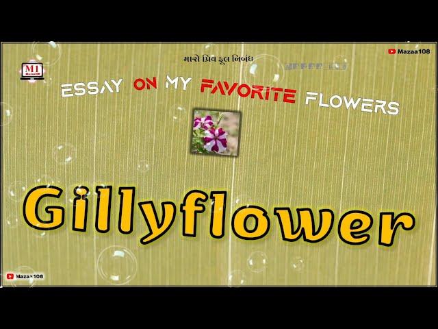 Gillyflower Flower | Essay On Gillyflower Flower |Favorite Flower Gillyflower | Gillyflower Benefits