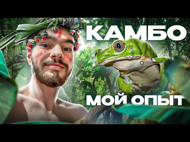 ЗАЧЕМ Я ПРИНЯЛ ЯД ЛЯГУШКИ?   #камбо #детоксорганизма