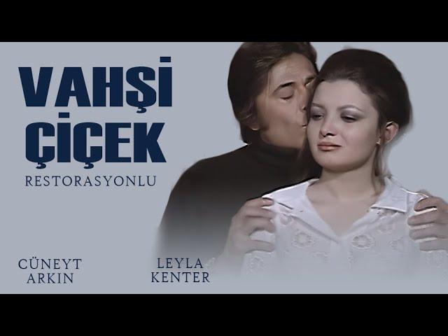 Vahşi Çiçek Türk Filmi | Restorasyonlu | CÜNEYT ARKIN | LEYLA KENTER