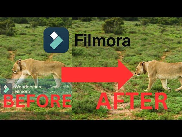 How To Remove Watermark In Filmora 13 For Free In 2024