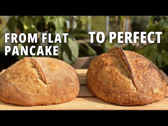 7 ANTI-FLAT SOURDOUGH BREAD TIPS