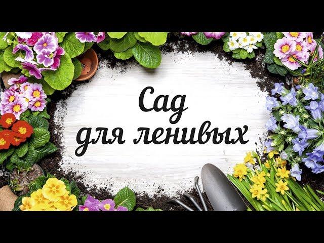 Сад для ленивых - Часть 1 | GARDEN BOOM