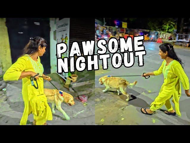 Mom, Dog & Me:  A Nighttime Walk You Won't Believe