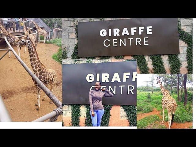 NEW LOOK OF GIRAFFE CENTER NAIROBI KENYA// REVISITING #Newchanges # Revisiting.