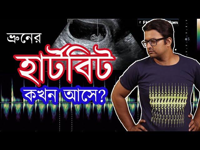 ভ্রুনের বা Baby র হার্টবিট কবে আসে Fetal Heartbeat in TVS or Ultra | The Bong Parenting