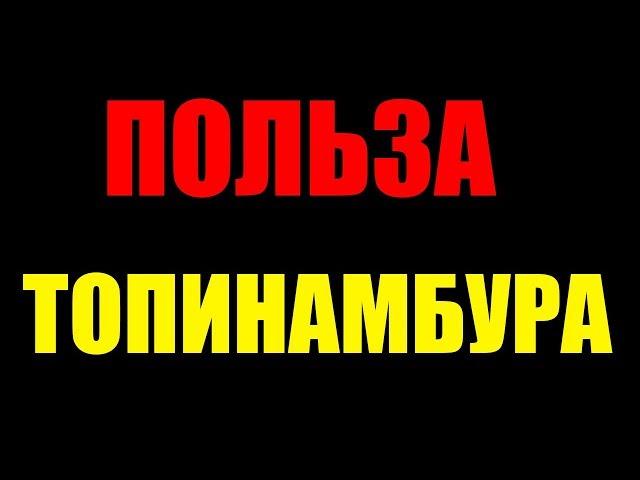 Польза и вред топинамбура