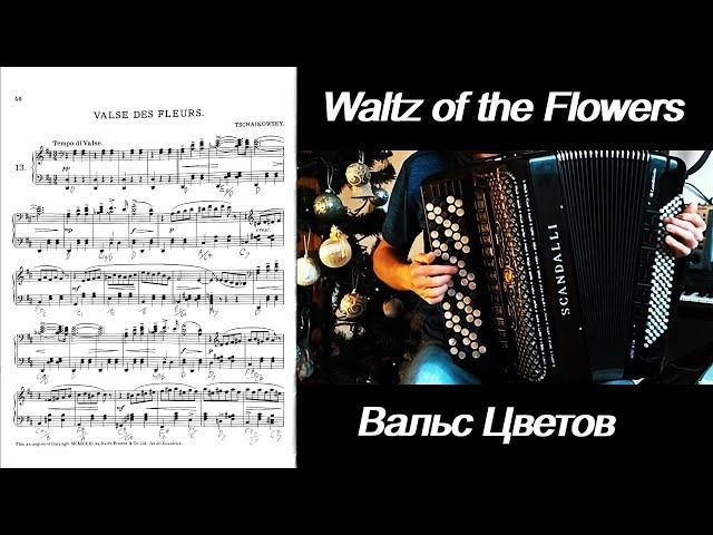 Waltz of the Flowers - Tchaikovsky Вальс цветов