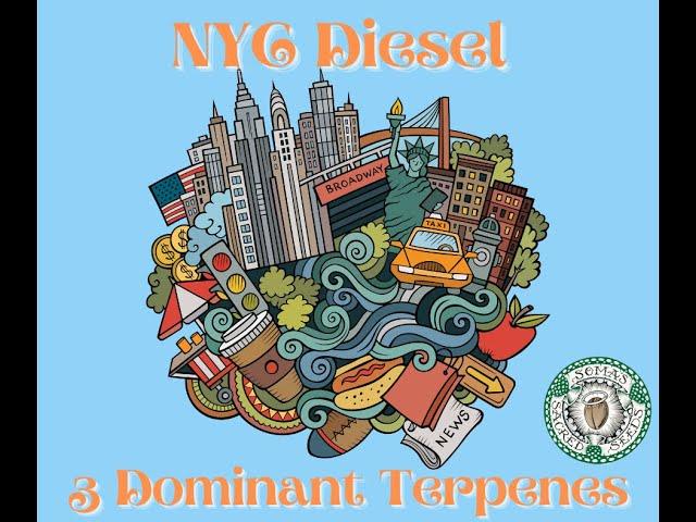 NYC Diesel - Terpene Profile from Soma Sacred Seeds (Medical Cannabis) Smell & Taste