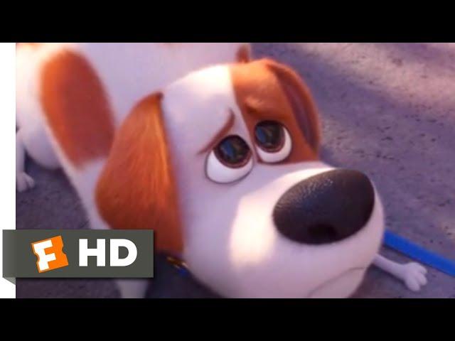 The Secret Life of Pets 2 - Max Goes to the Vet | Fandango Family