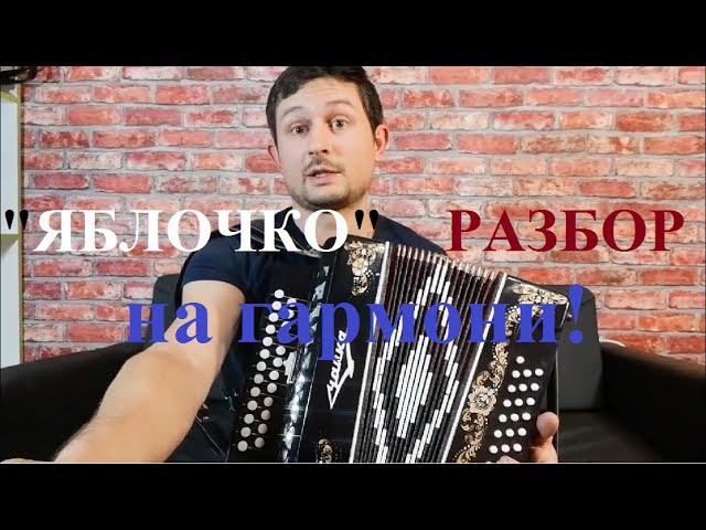 Яблочко на гармони  Разбор