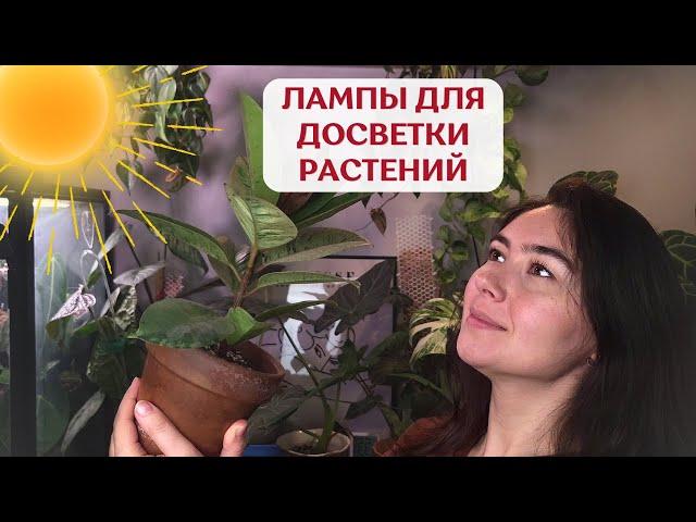 Какие ЛАМПЫ для РАСТЕНИЙ использую | как я ДОСВЕЧИВАЮ РАСТЕНИЯ | ОБЗОР фитоламп