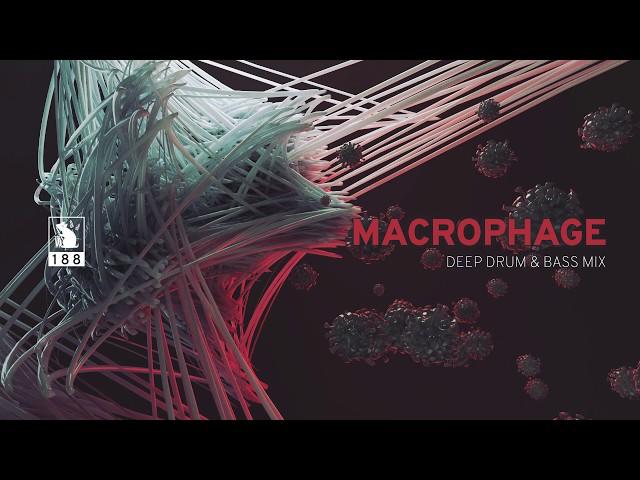 Macrophage | Deep Drum & Bass Mix