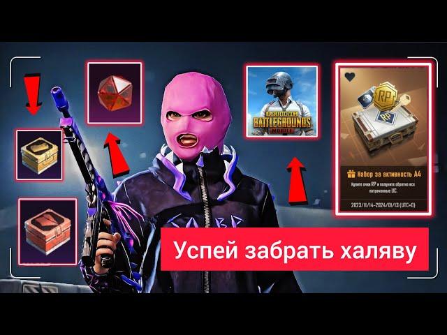 НАБОР ЗА АКТИВНОСТЬ RP В PUBG MOBILE  БЕСПЛАТНЫЕ МИФИЧЕСКИЕ ЭМБЛЕМЫ В ПУБГ МОБАЙЛ