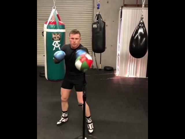 CANELO ON THE COBRA BAG