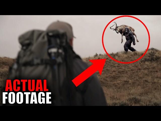 The Most Convincing BIGFOOT SIGHTINGS Caught on Camera